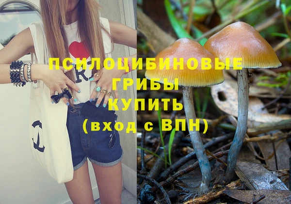 каннабис Алзамай